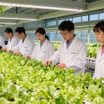 CIKA4D experts in a modern indoor agriculture facility, showcasing advanced hydroponic systems and optimized LED lighting.